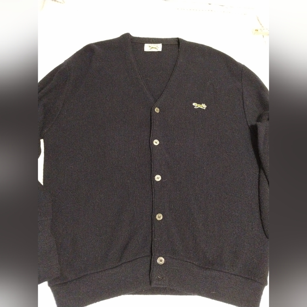 Vintage 70s JC Penney V-Neck Sweater Men's Size M Grandpa Grunge The Fox USA